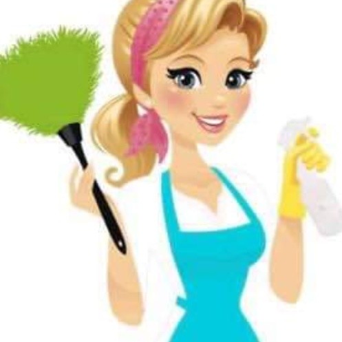 Experienced Cleaner Available