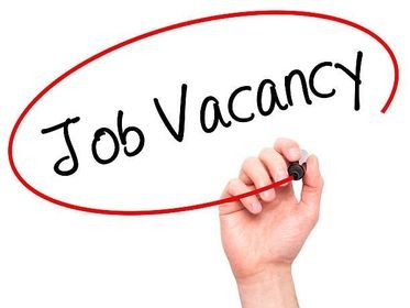 Seasonal Sales Assistant/Advisor