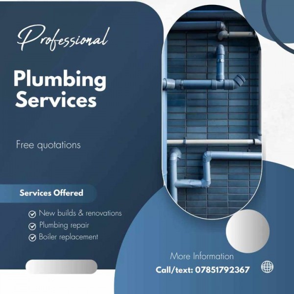 Professional Plumbing Services