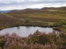 Boorin Nature Reserve Omagh - 