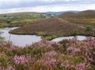 Boorin Nature Reserve Omagh - 